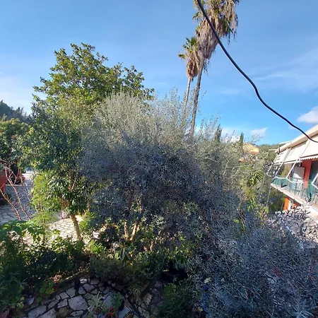 Niki Thalia Close To Corfu Town