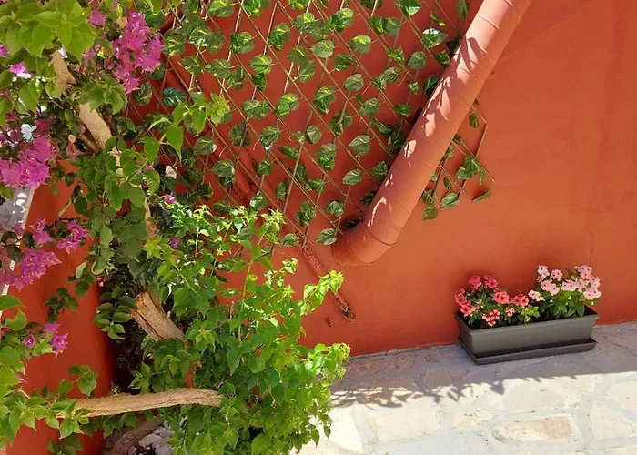 Niki Thalia Close To Corfu Town Semesterbostad
